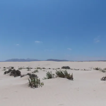 Vida - No Stress Holidays El Cotillo (Fuerteventura)