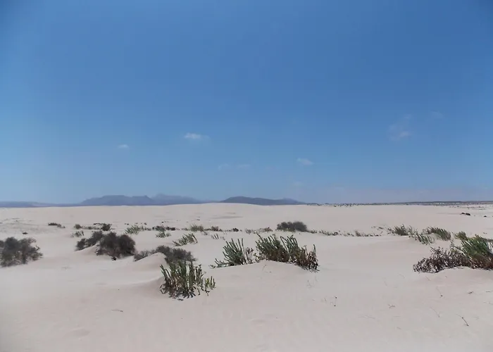 Vida - No Stress Holidays Cotillo