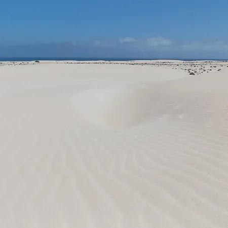 Vida - No Stress Holidays * Cotillo